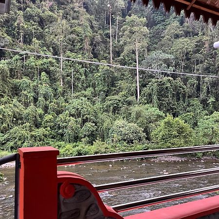 Ridho'S Homestay & Jungle Trekking Bukit Lawang Exterior photo