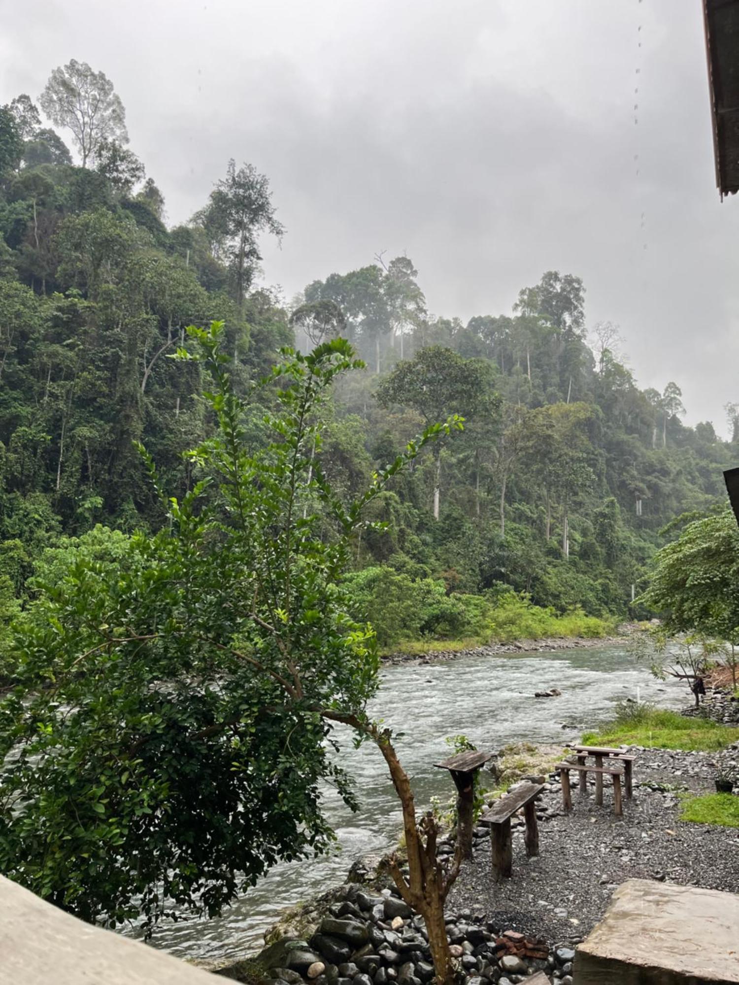 Ridho'S Homestay & Jungle Trekking Bukit Lawang Exterior photo