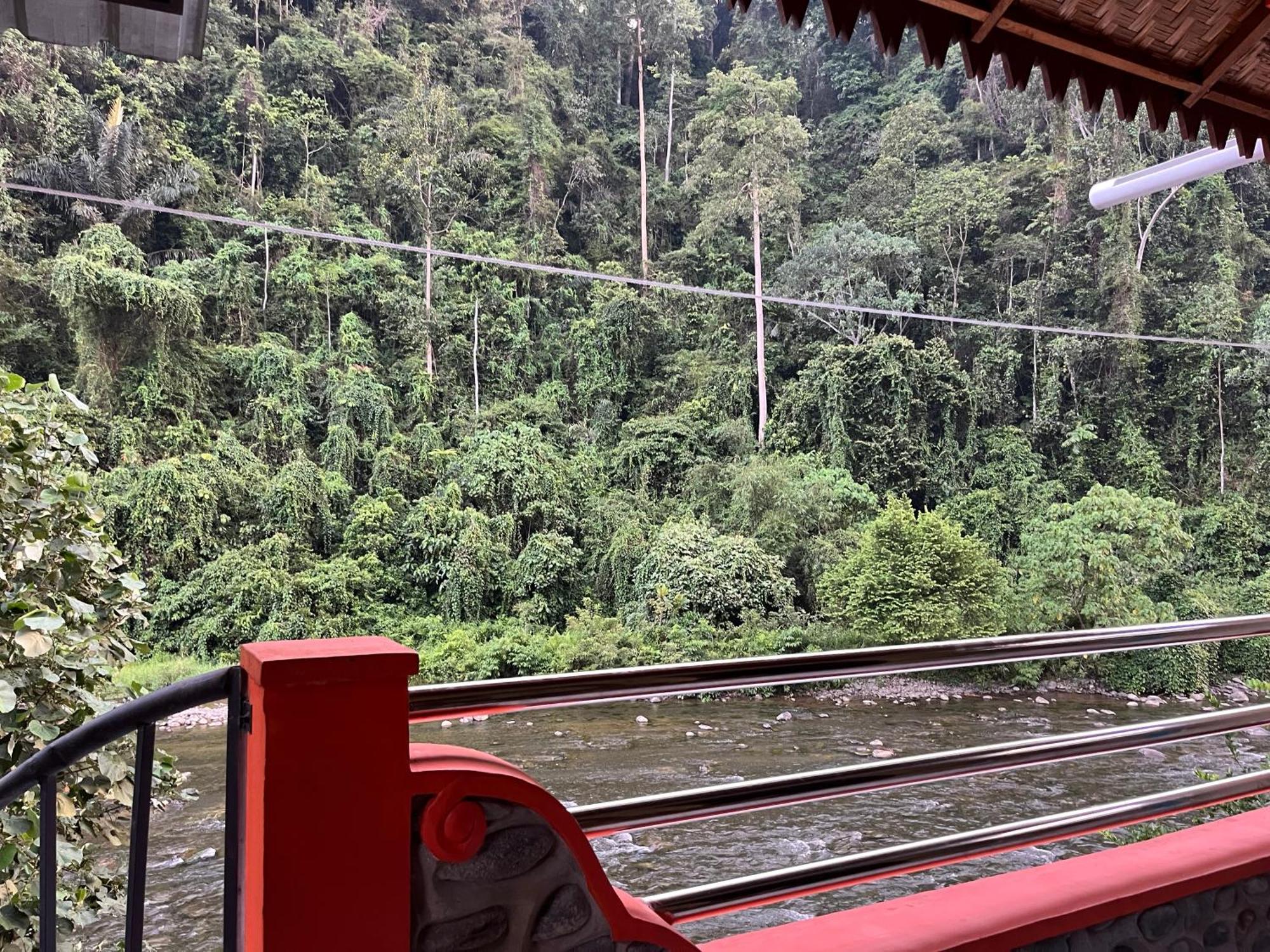 Ridho'S Homestay & Jungle Trekking Bukit Lawang Exterior photo